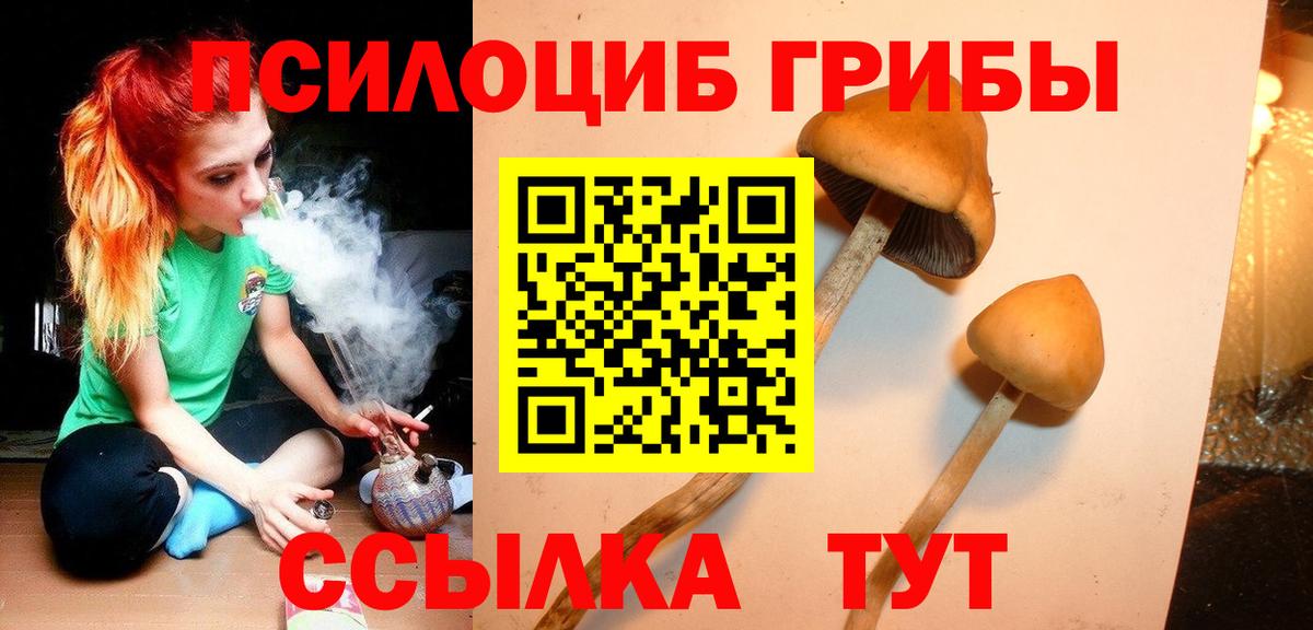 Псилоцибиновые грибы Magic Shrooms Кириши