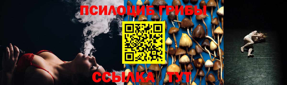 Псилоцибиновые грибы Psilocybine cubensis  Вход с VPN  Кириши 